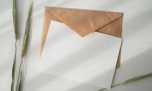 carta de recomendación universidad